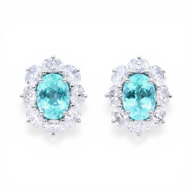 3.54tcw Paraiba 'Entourage' Earrings