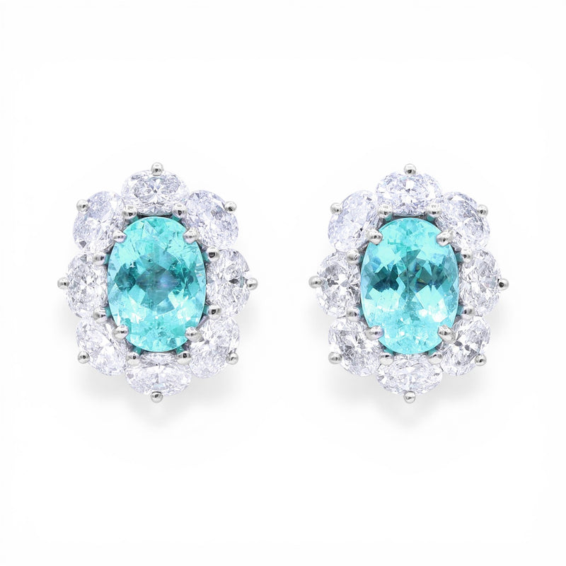 3.54tcw Paraiba 'Entourage' Earrings