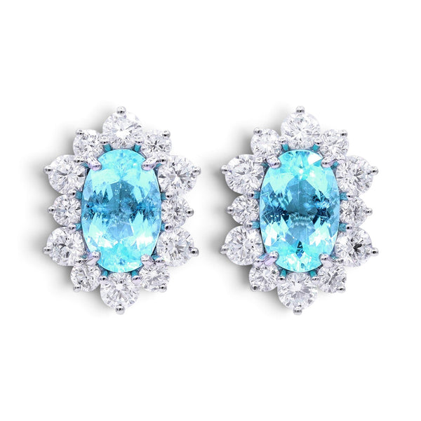 7.40tcw Paraiba Earrings