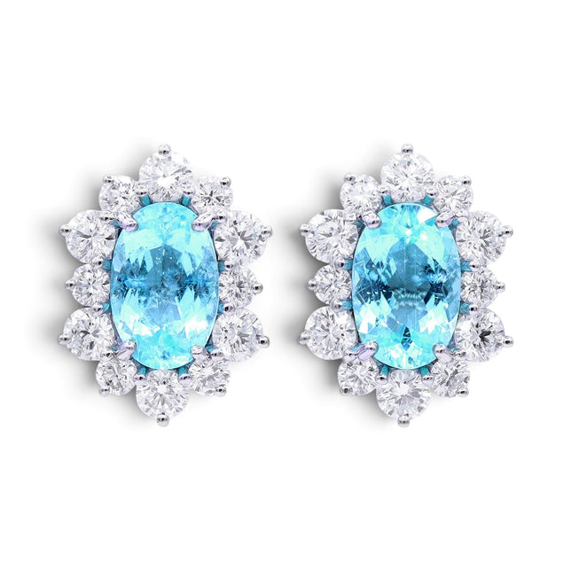 7.40tcw Paraiba Earrings