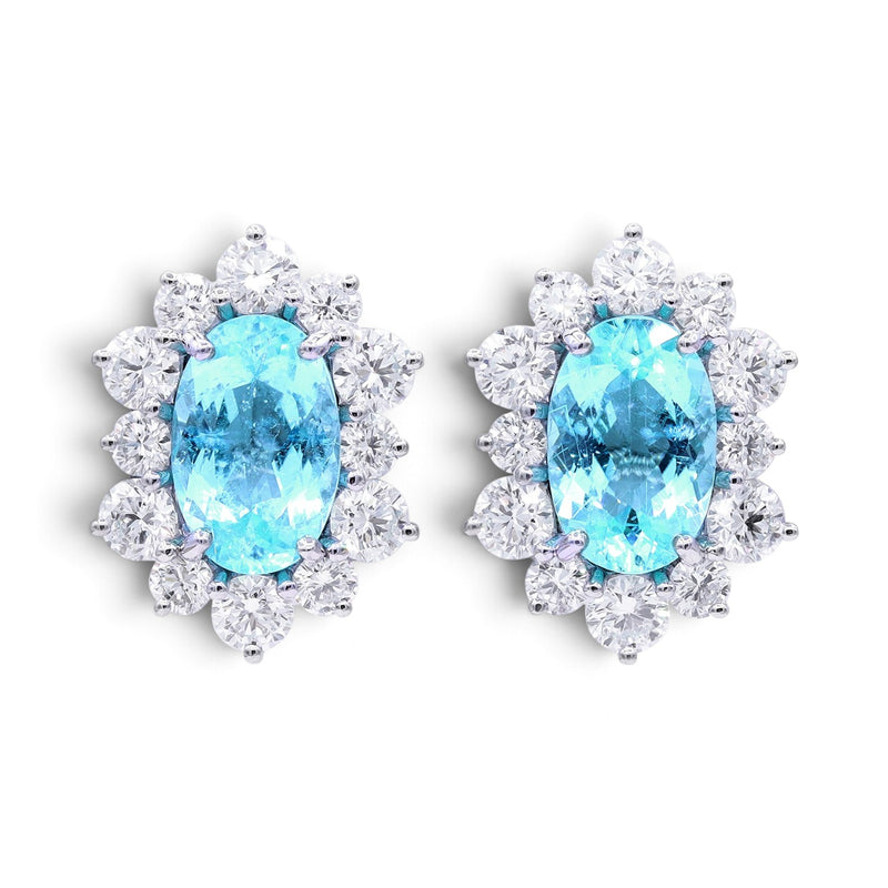 7.40tcw Paraiba Earrings